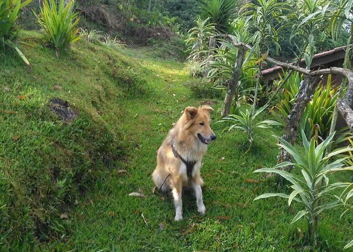 Don Camilo De Montana